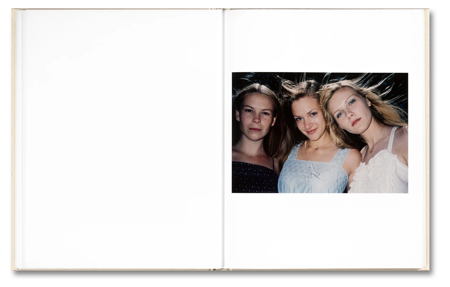 The Virgin Suicides by Sofia Coppola & Corinne Day