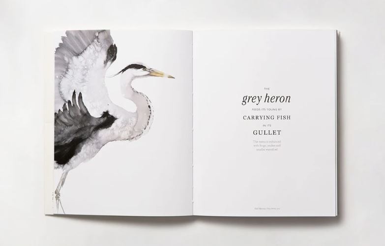 The Book of the Bird by Kendra Wilson