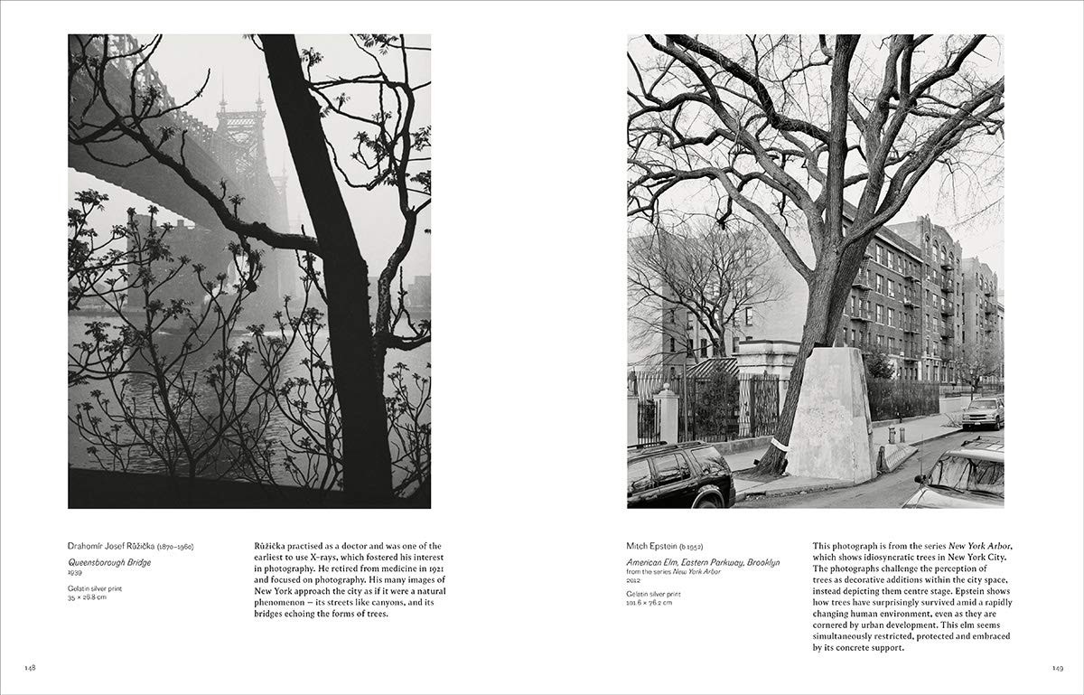 Autofocus: The Car in Photography by Marta Weiss
