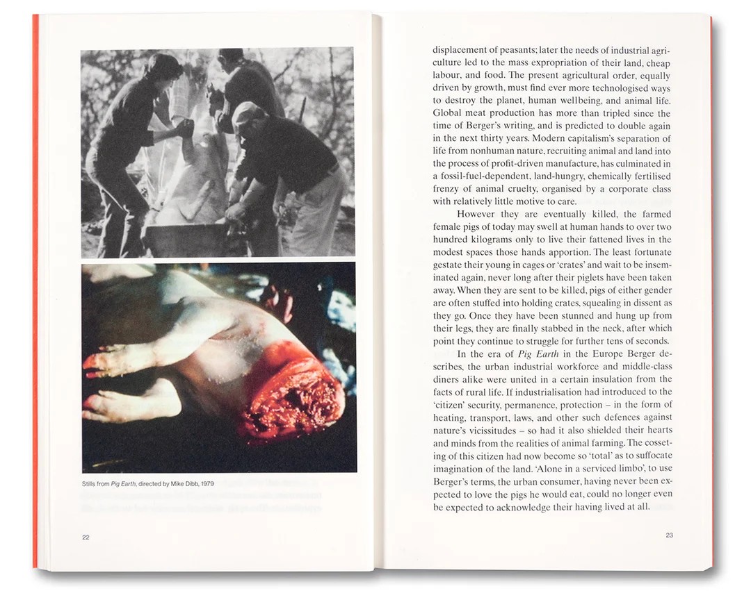 Meat Love: An Ideology of the Flesh by Amber Husain