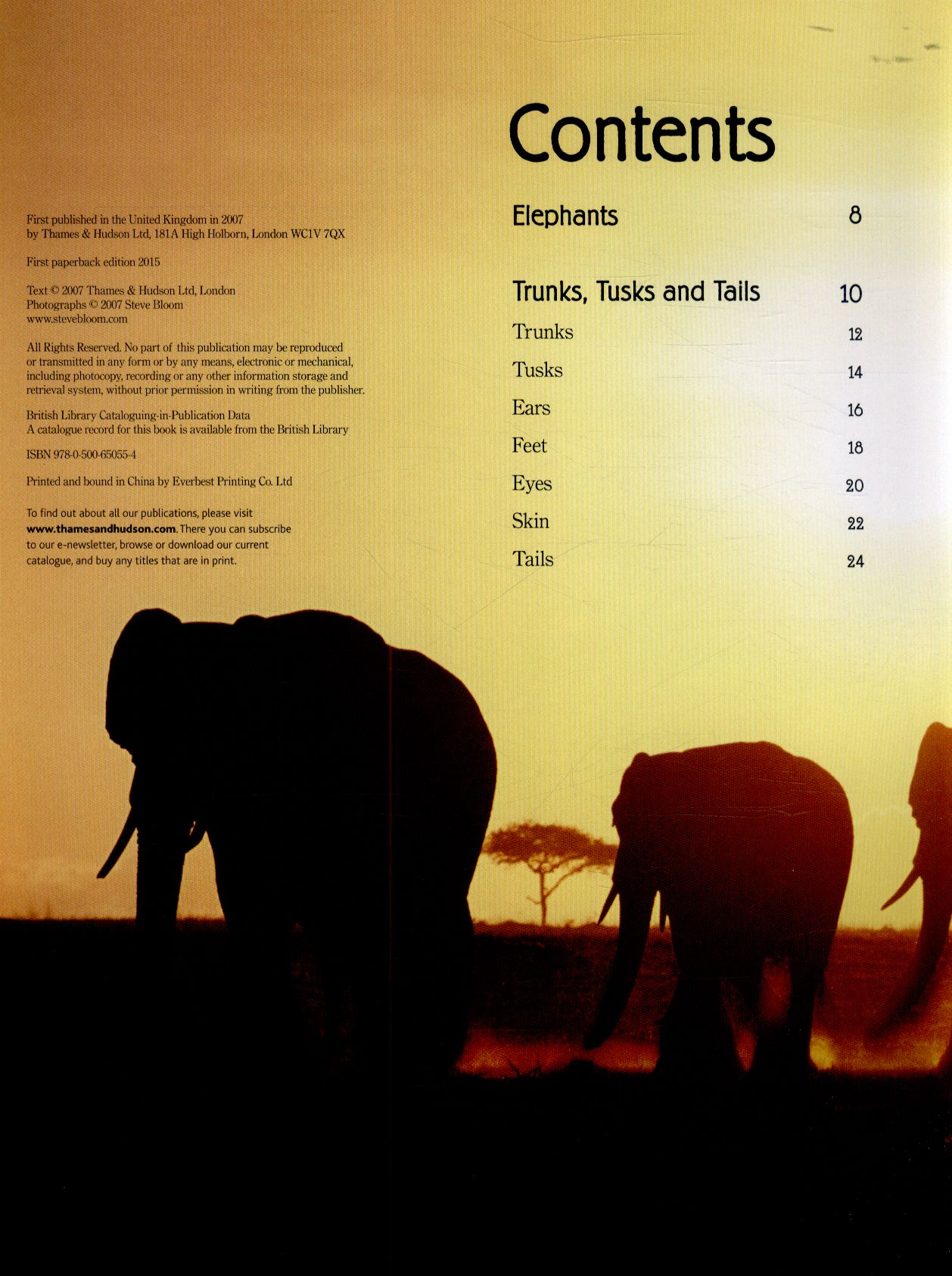 Elephants: A Book for Children by Steve Bloom