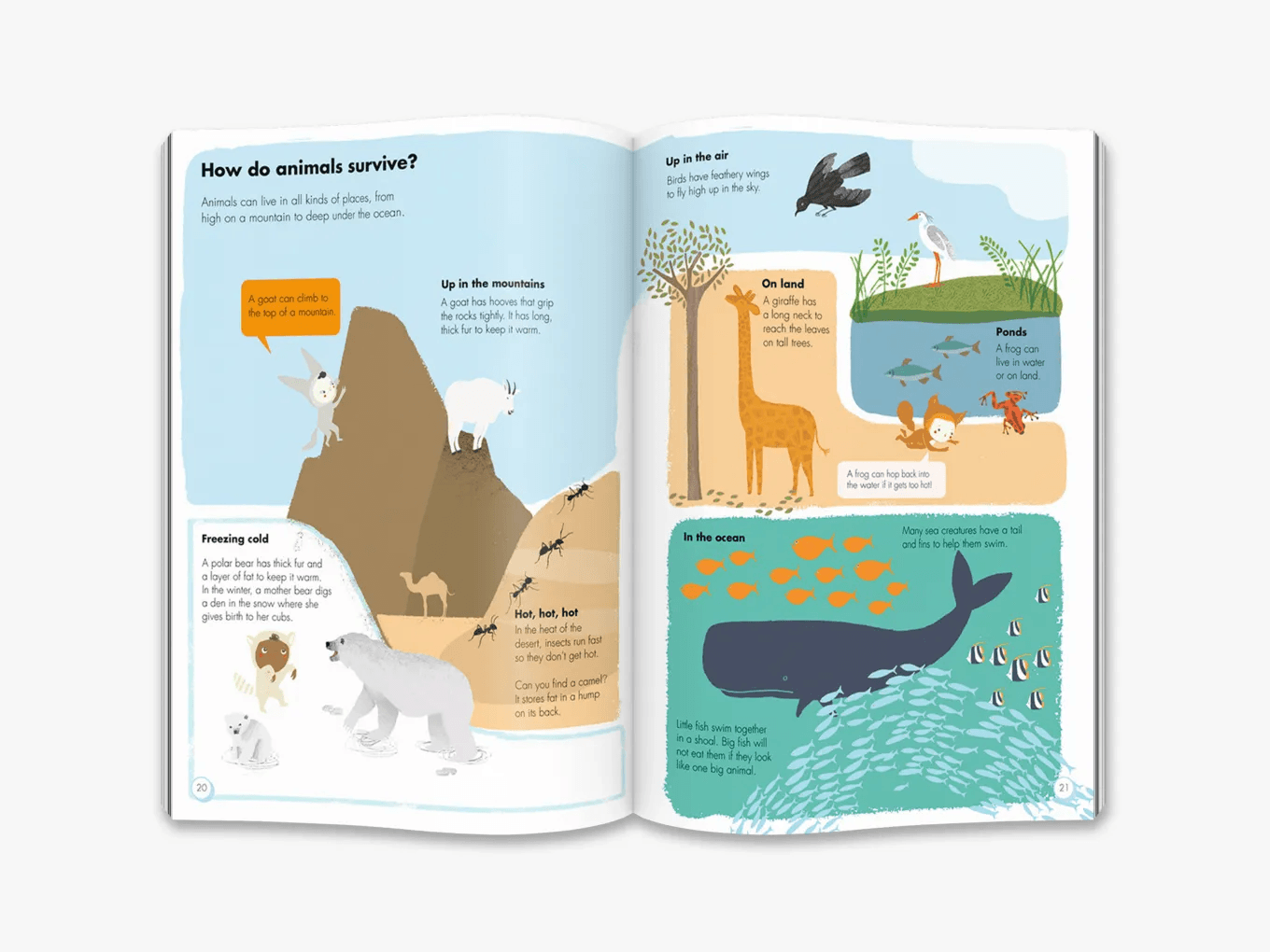 My Animal Book by OKIDO