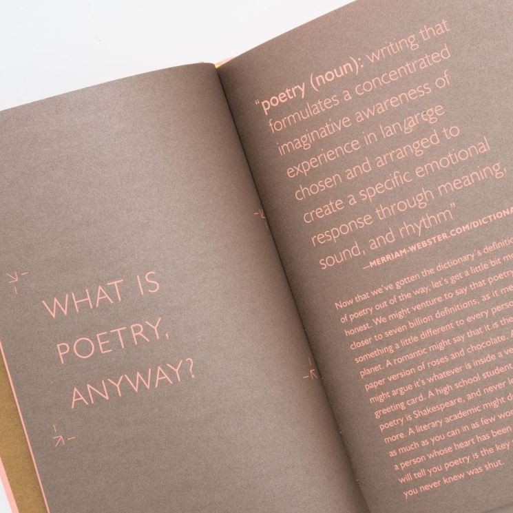 How Poetry Can Change Your Heart by Andrea Gibson & Megan Falley