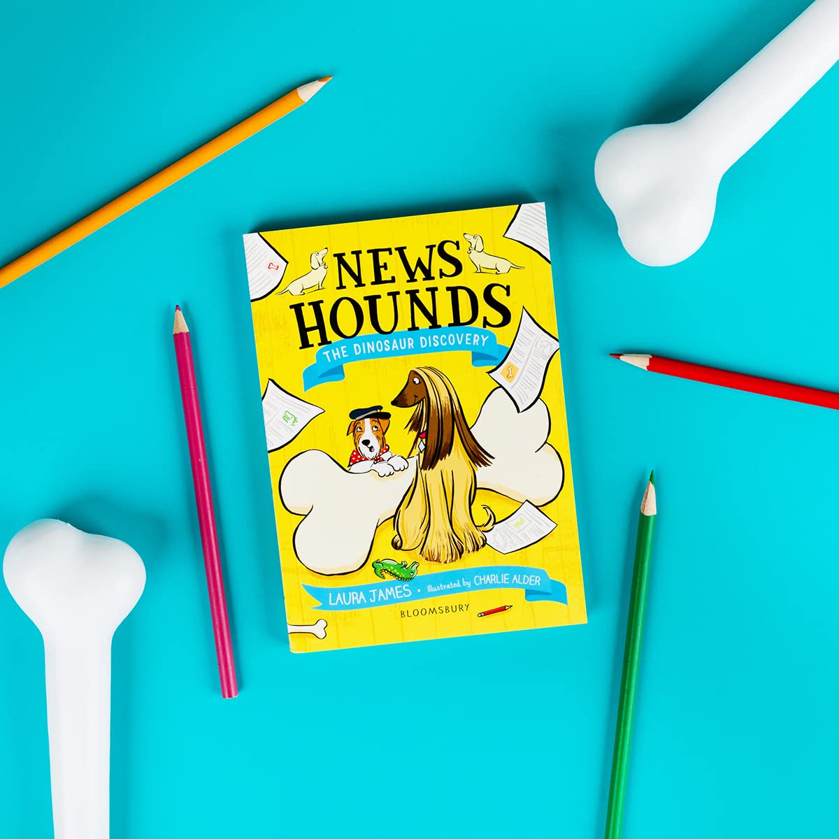 News Hounds: The Dinosaur Discovery by Laura James