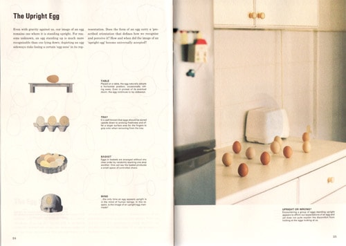 Science Of The Secondary 7: Egg by Atelier Hoko