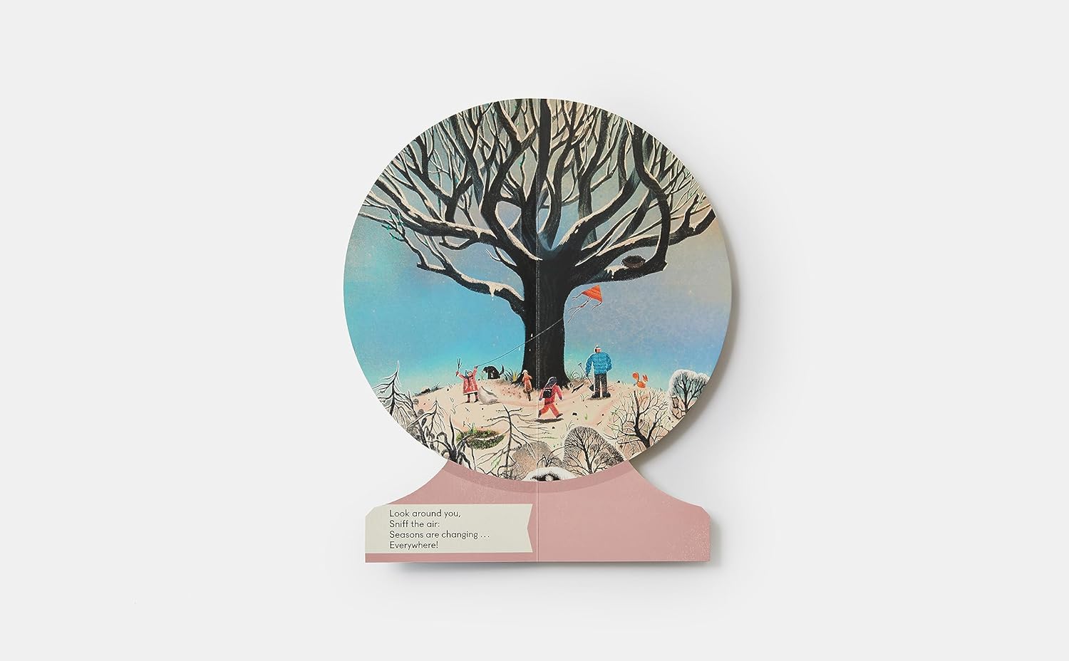 Our Seasons: The World in Winter, Spring, Summer, and Autumn (Our World Collection 