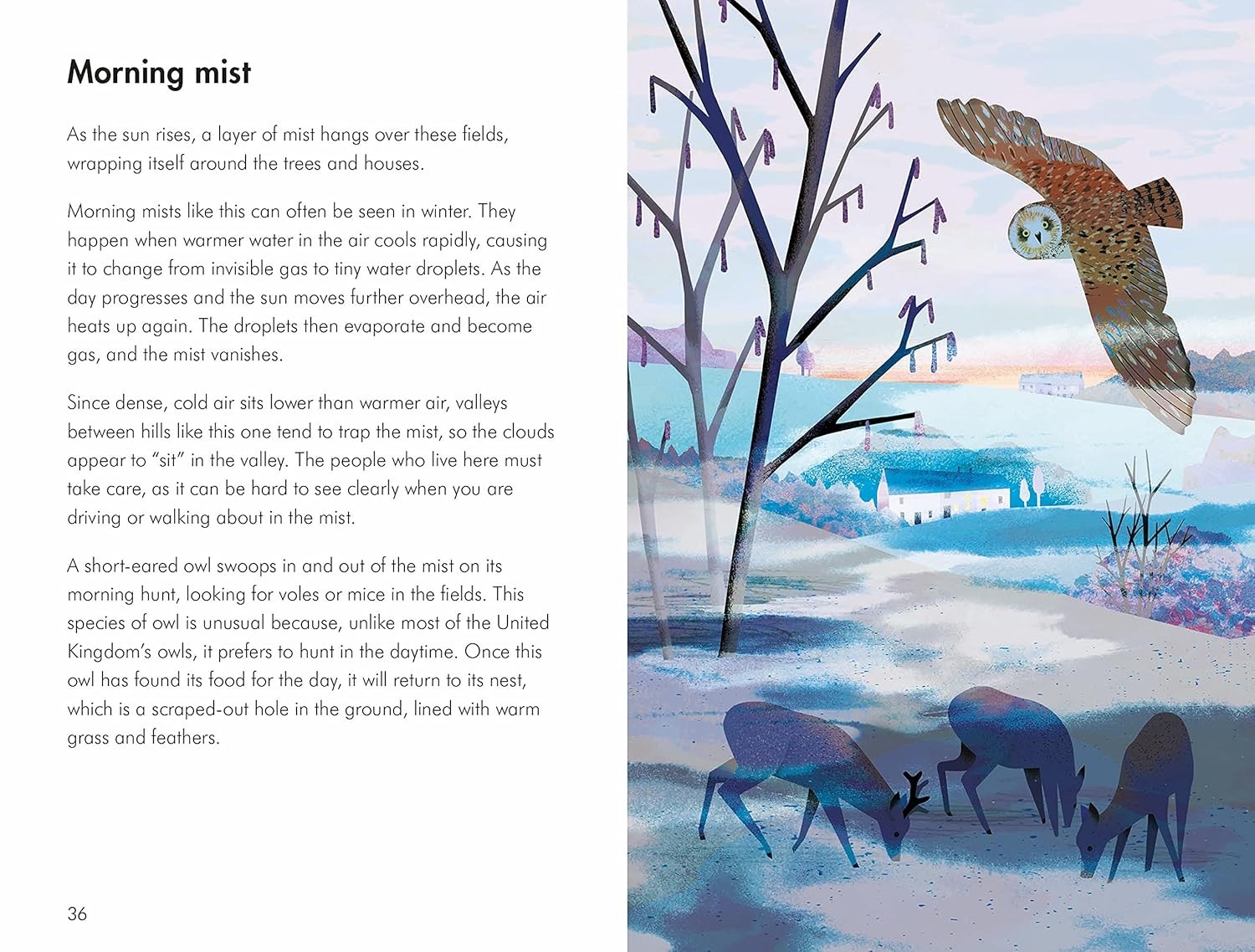 What to Look For in Winter by Elizabeth Jenner