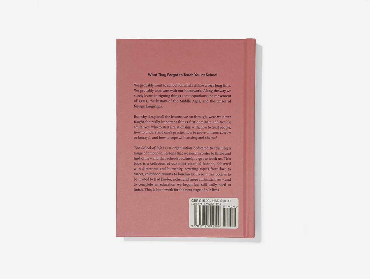 What They Forgot To Teach You At School by Alain de Botton