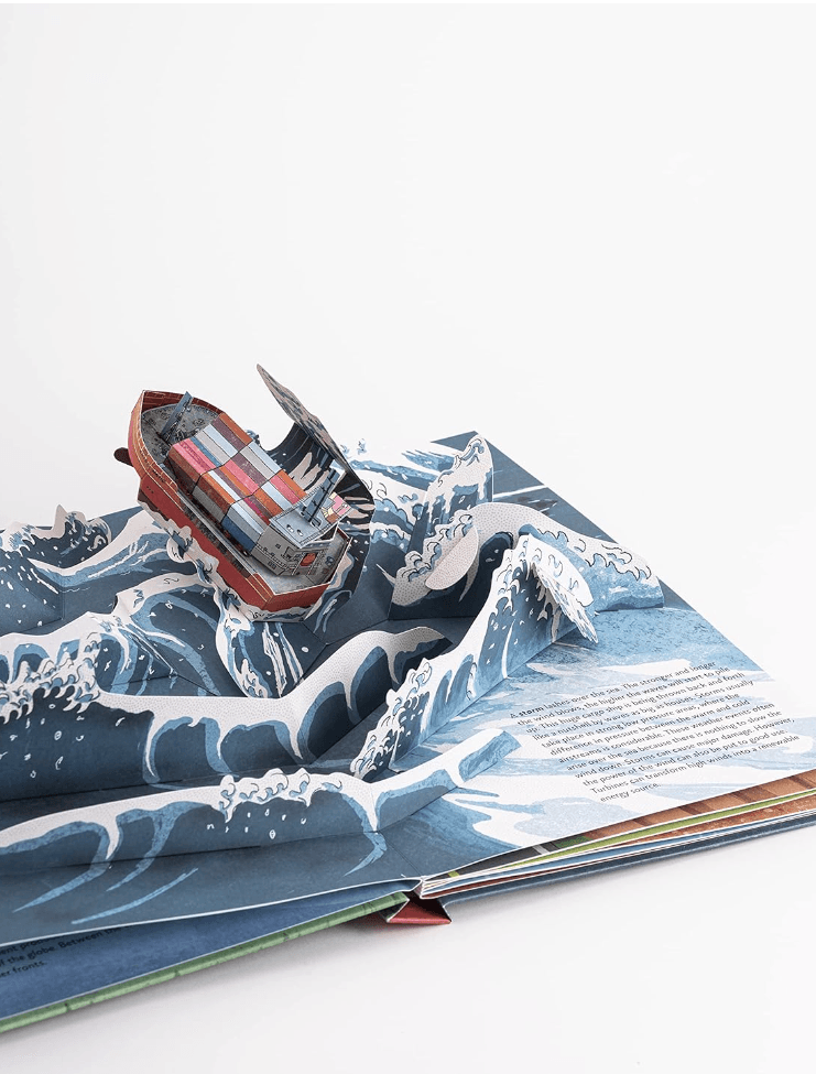 The Weather: Pop-up Book by Maike Biederstadt