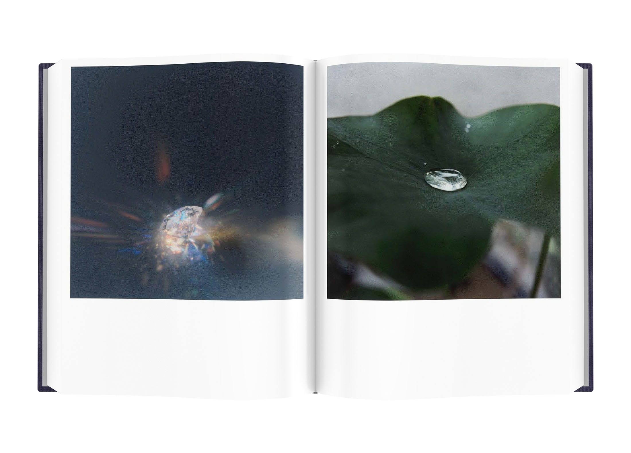 Illuminance by Rinko Kawauchi 