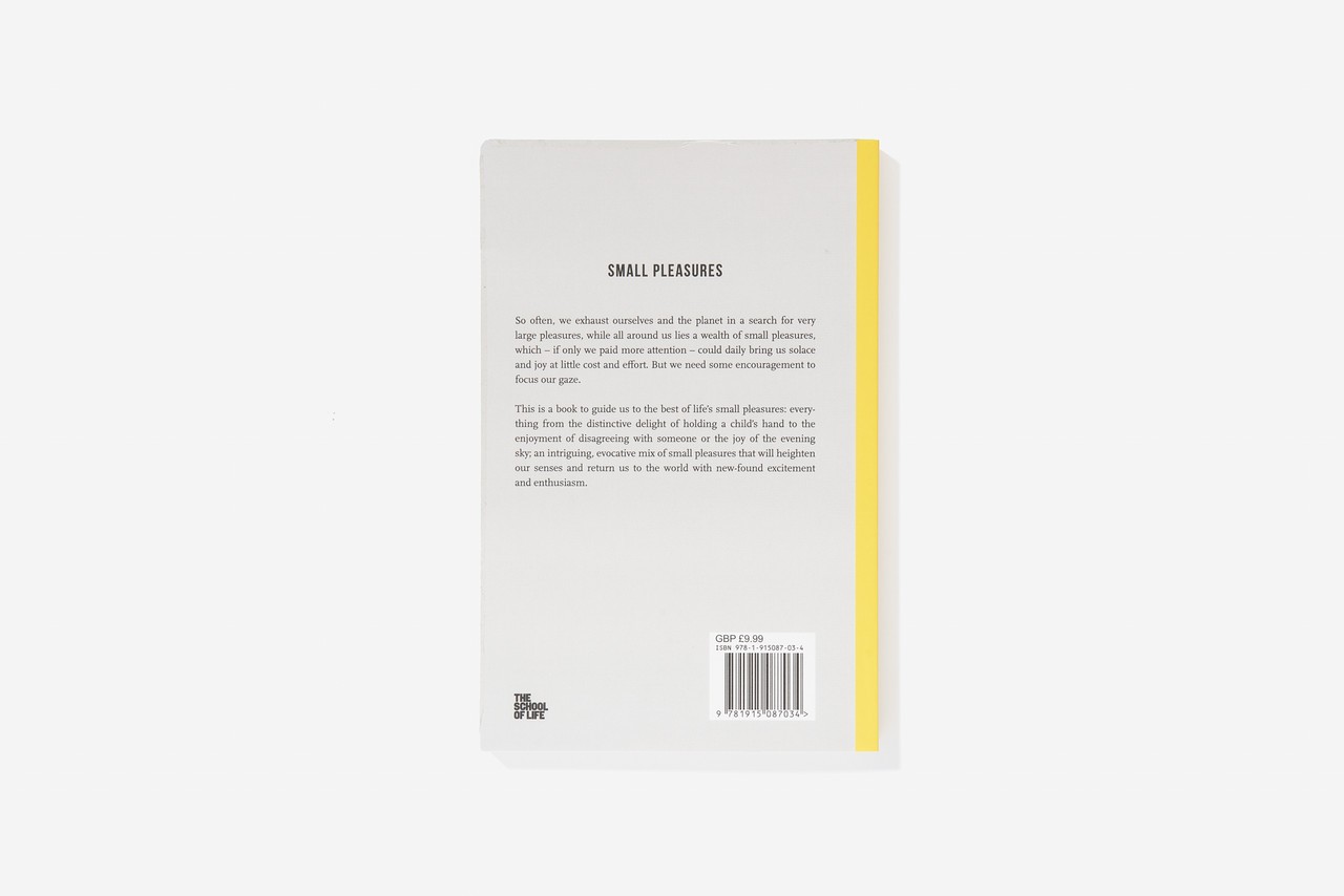 Small Pleasures by Alain de Botton