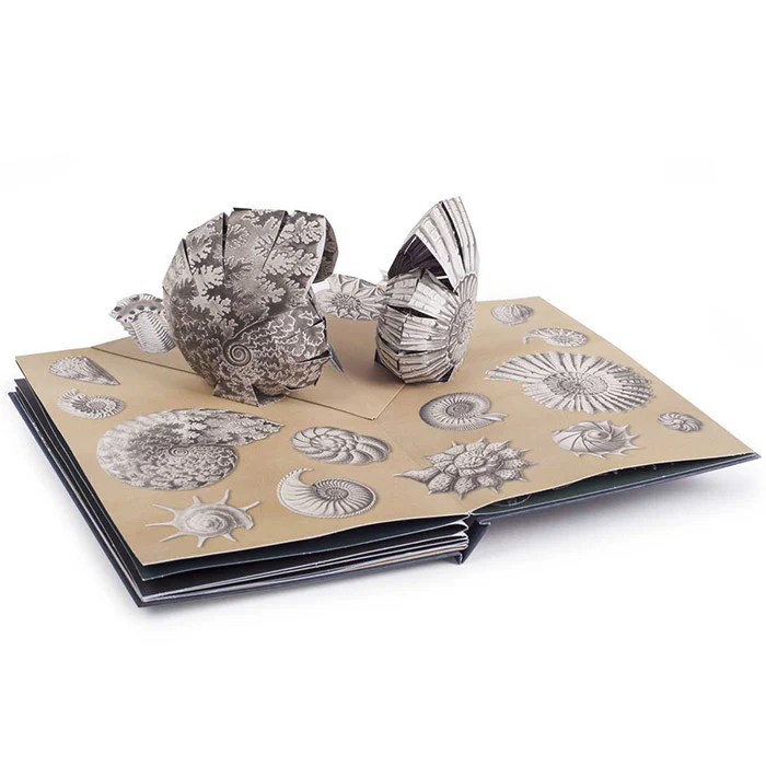 Creatures of the Deep: The Pop-up Book by Ernst Haeckel