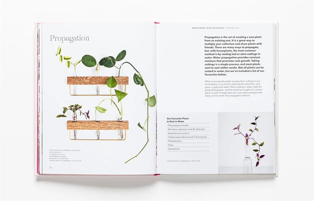 How to Raise a Plant and Make It Love You Back 