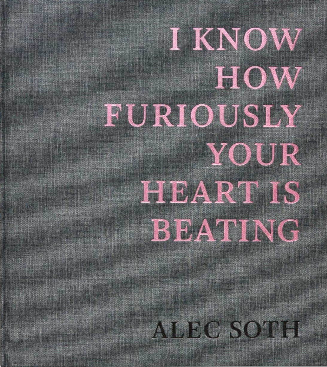 I Know How Furiously Your Heart Is Beating by Alec Soth