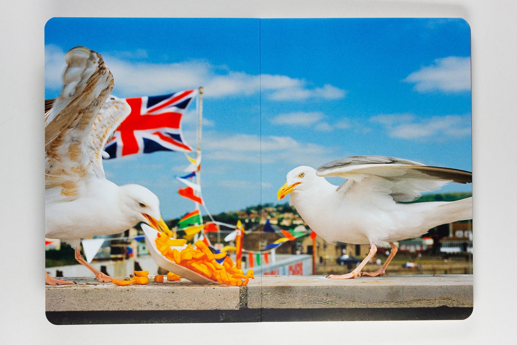 Animals by Martin Parr