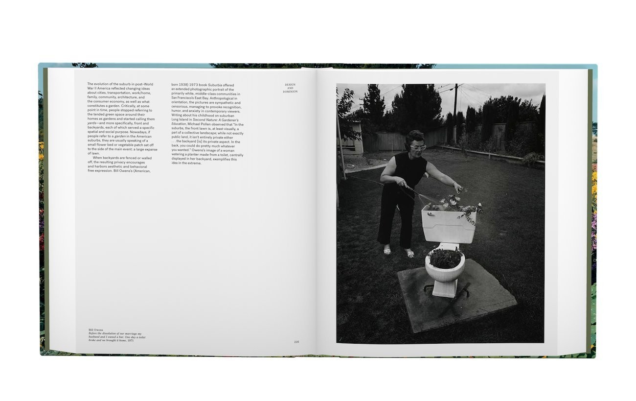 The Photographer in the Garden by Jamie M. Allen & Sarah Anne McNear