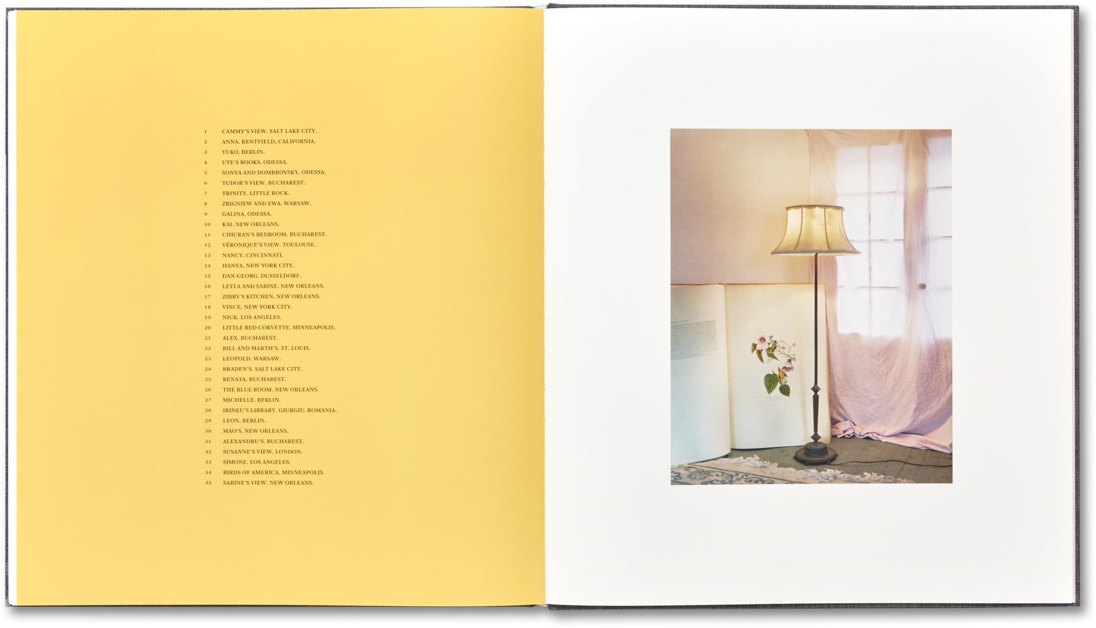 I Know How Furiously Your Heart Is Beating by Alec Soth