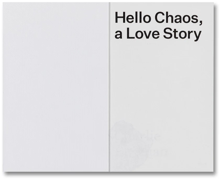 Hello Chaos, a Love Story: The Disorder of Seeing and Being Seen by Charlie Engman