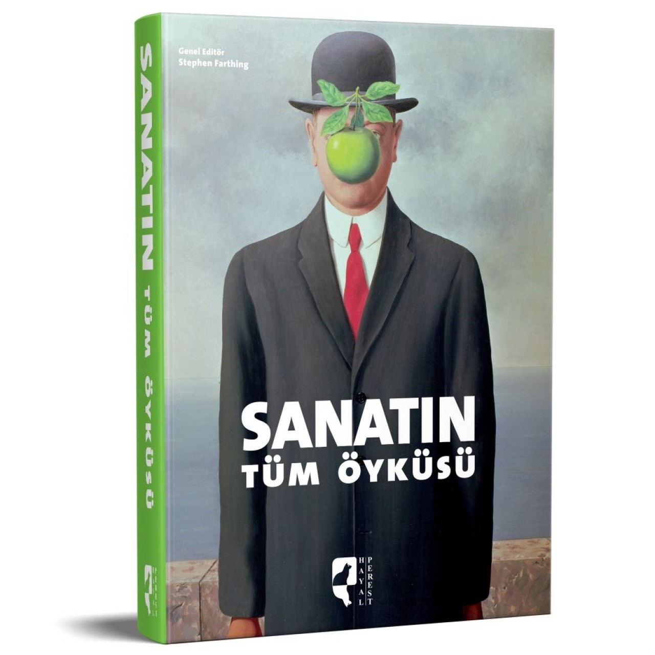 Sanatın Tüm Öyküsü by Stephen Farthing