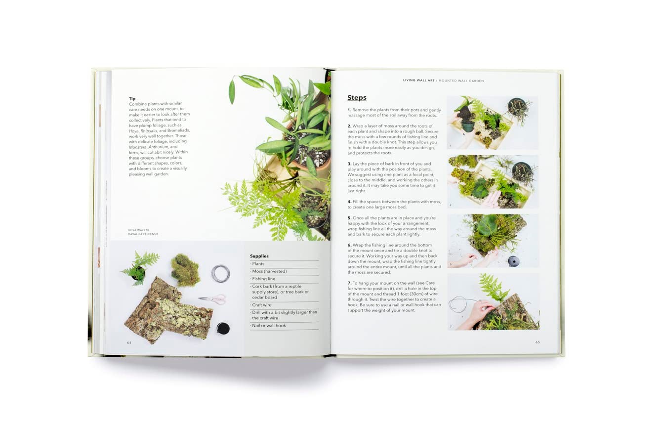 How to Plant a Room: and Grow a Happy Home by Morgan Doane & Erin Harding