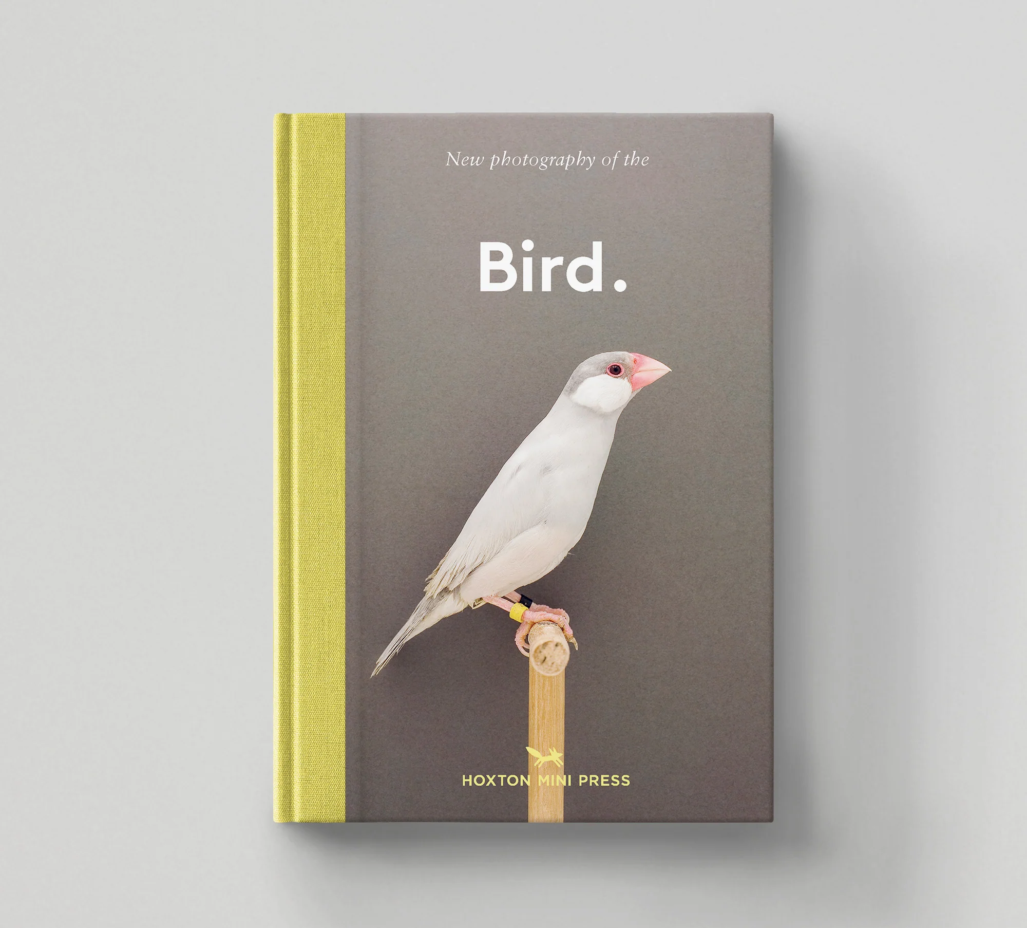 Bird. by Gemma Padley