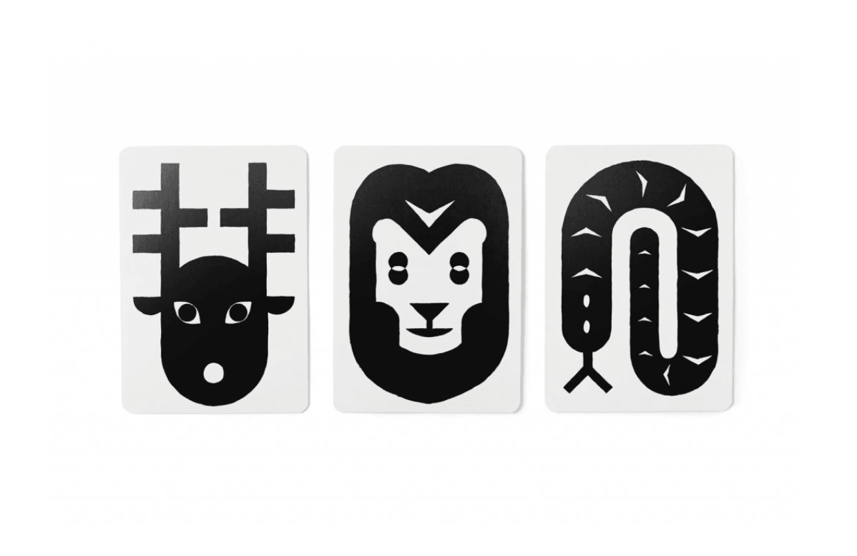 Baby Zoo: Turn Your Baby into a Zoologist by Damien Poulain