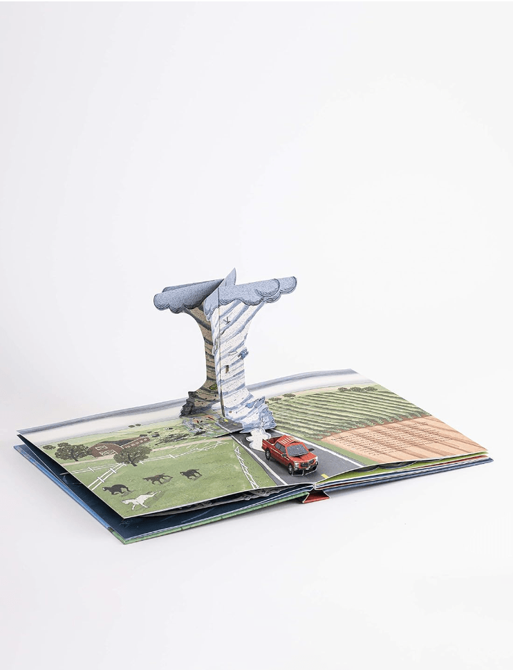 The Weather: Pop-up Book by Maike Biederstadt