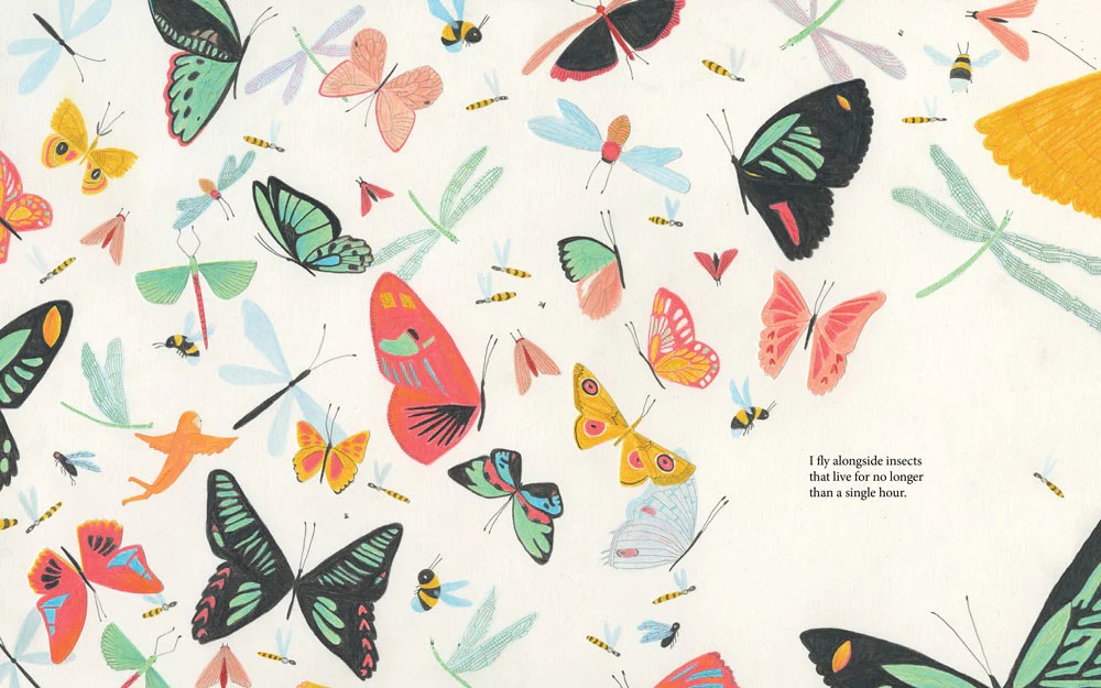 I am Life by Elisabeth Helland Larsen & Marine Schneider
