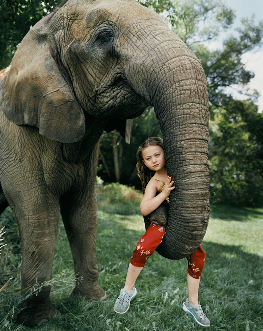 Amelia & the Animals by Robin Schwartz