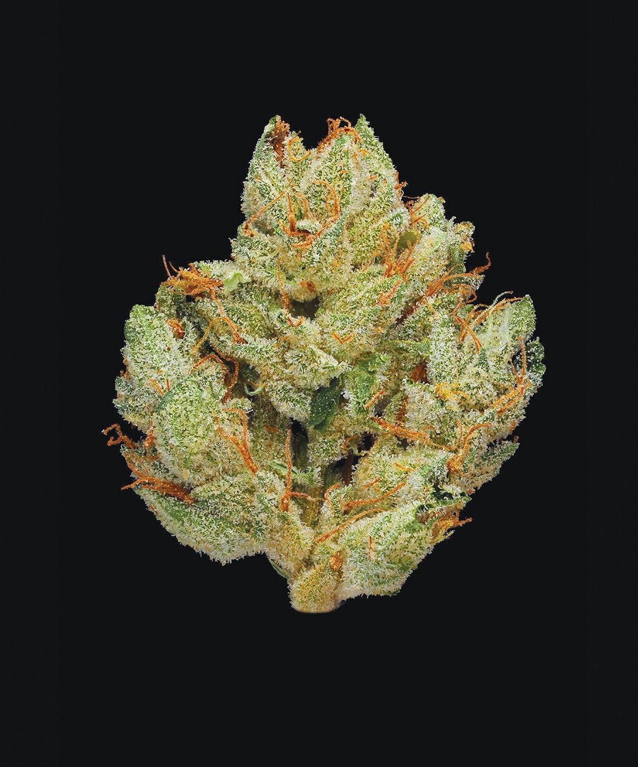Green: a Field Guide to Marijuana