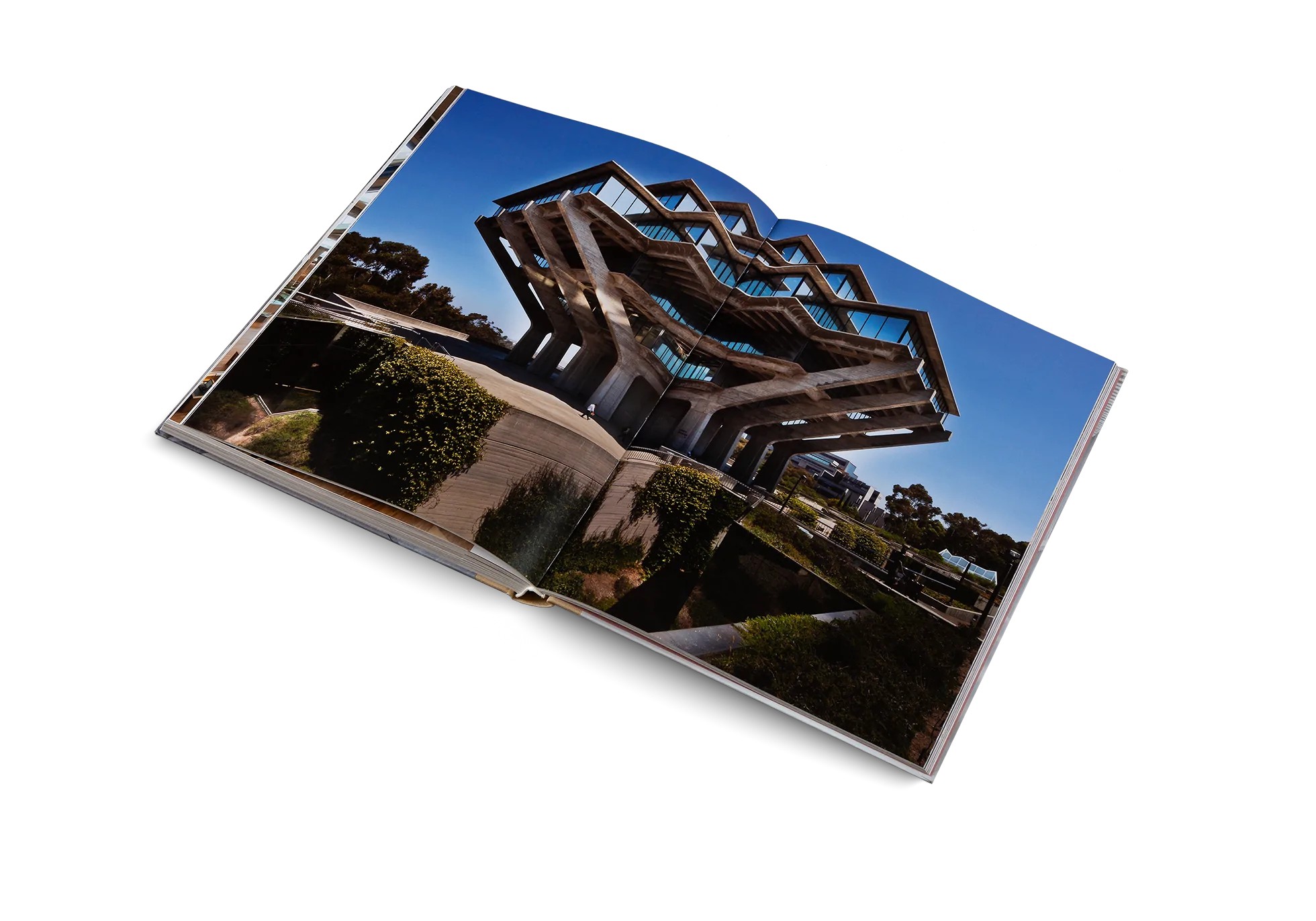 Temples of Books by Marianne Julia Strauss