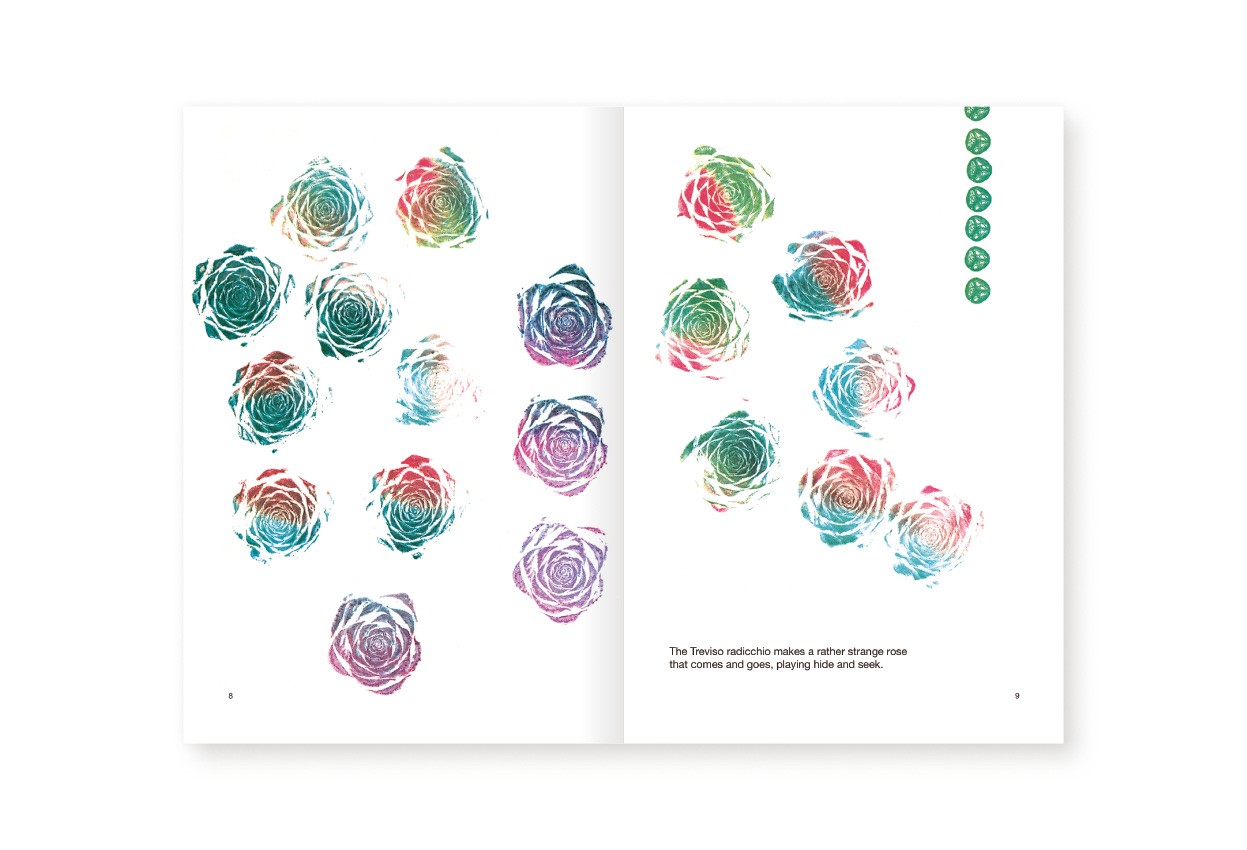 Roses in the Salad by Bruno Munari