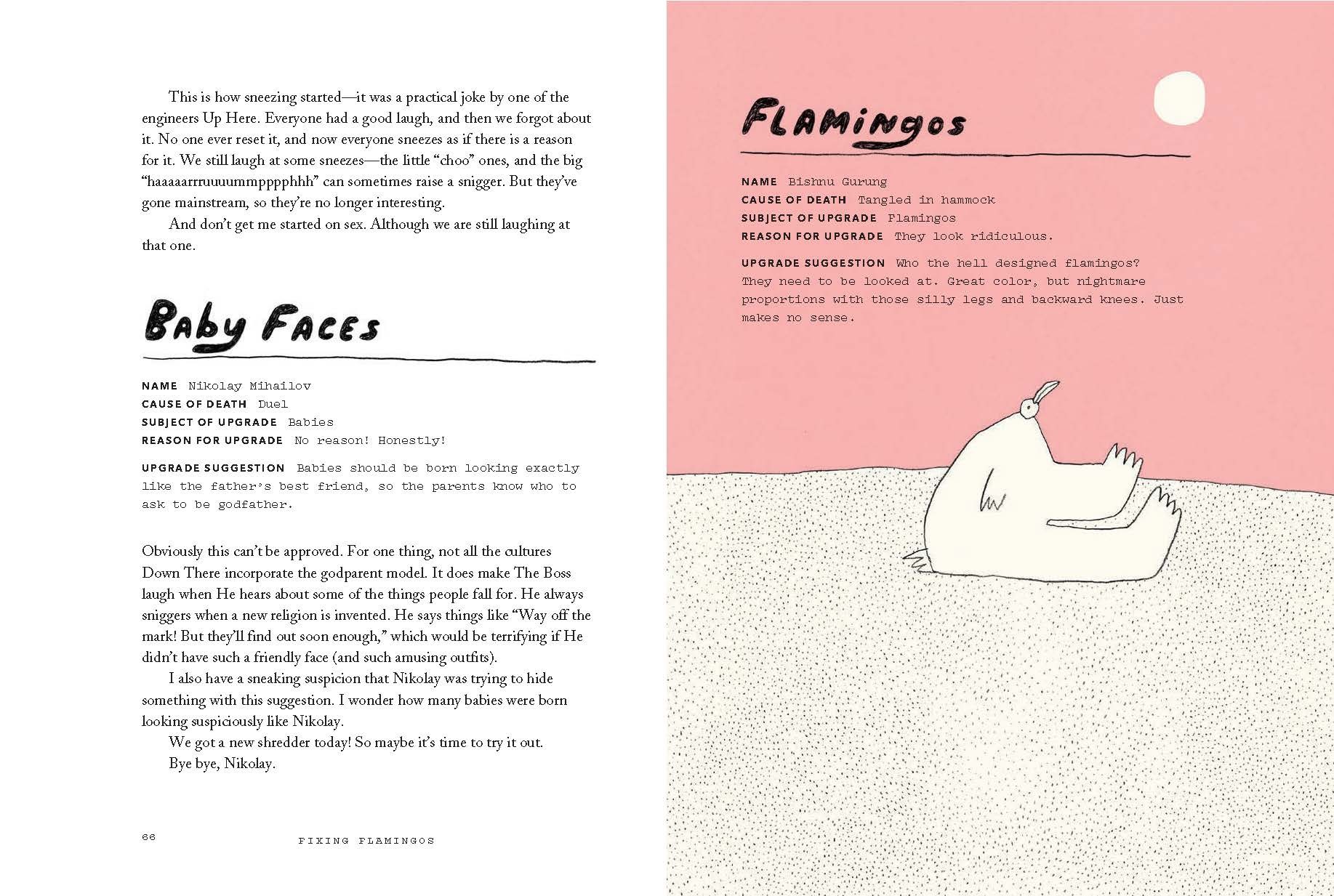 Fixing Flamingos by Lucienne Brown & Brian Rea
