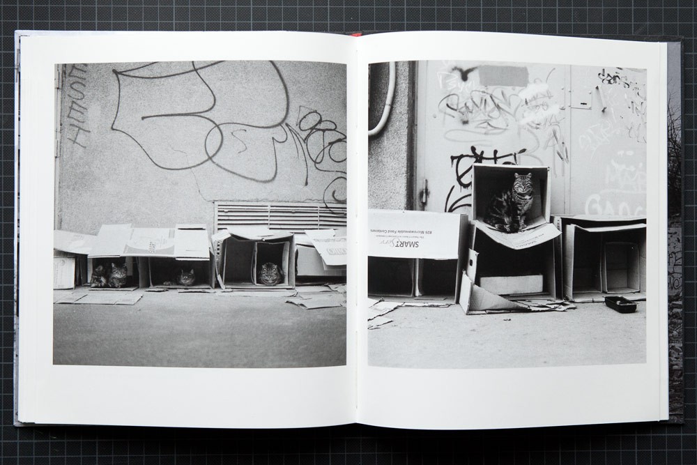How the Other Half Lives by Nico Baumgarten