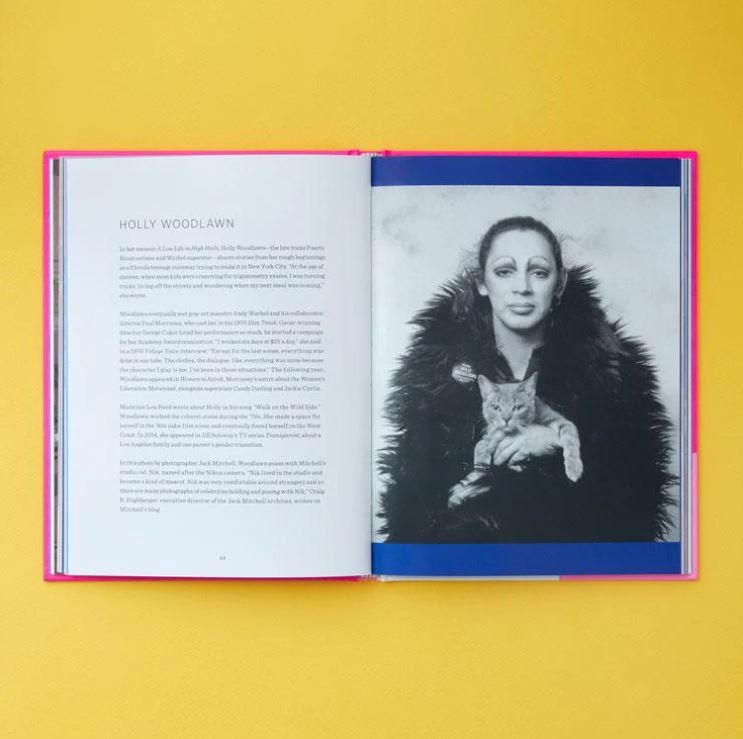 Queer Icons and Their Cats by Alison Nastasi & PJ Nastisi