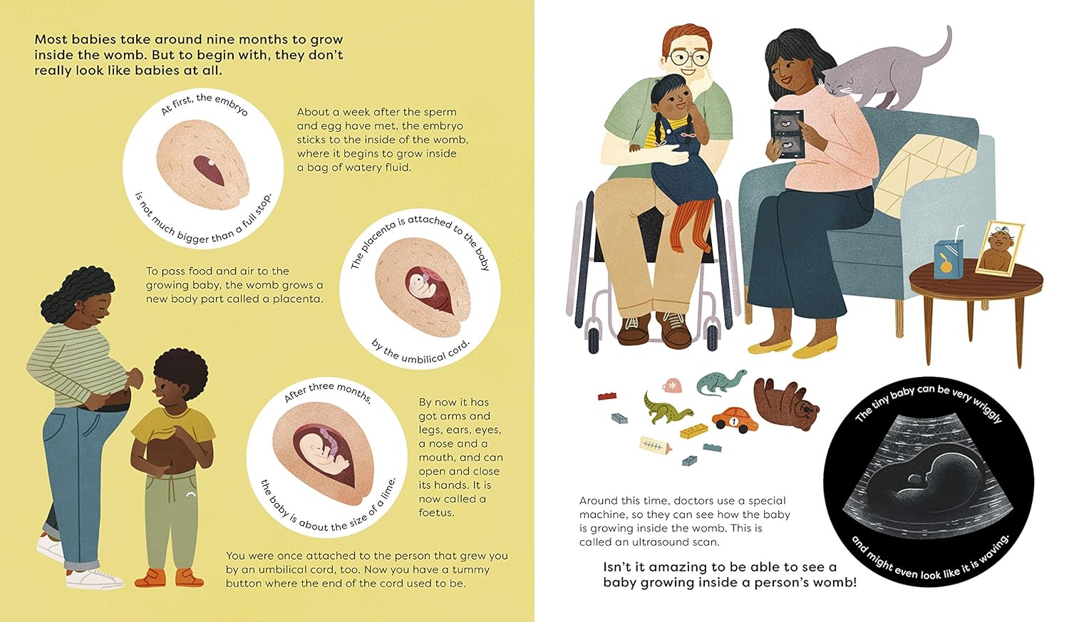 Making A Baby: An Inclusive Guide to How Every Family Begins By Rachel Greener & Clare Owen