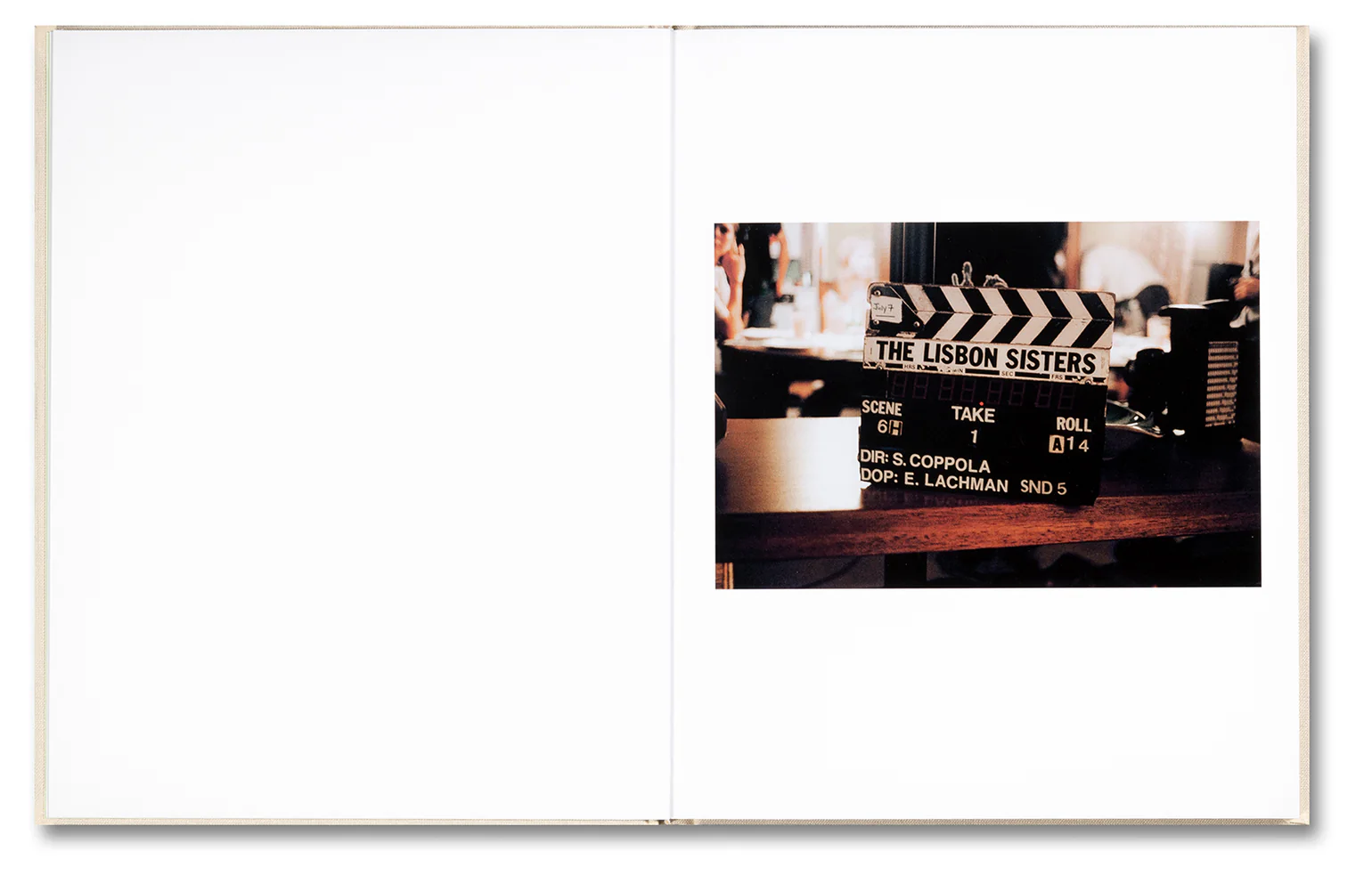 The Virgin Suicides by Sofia Coppola & Corinne Day