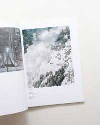 The Collector's Guide to Emerging Art Photography by Alana Celii