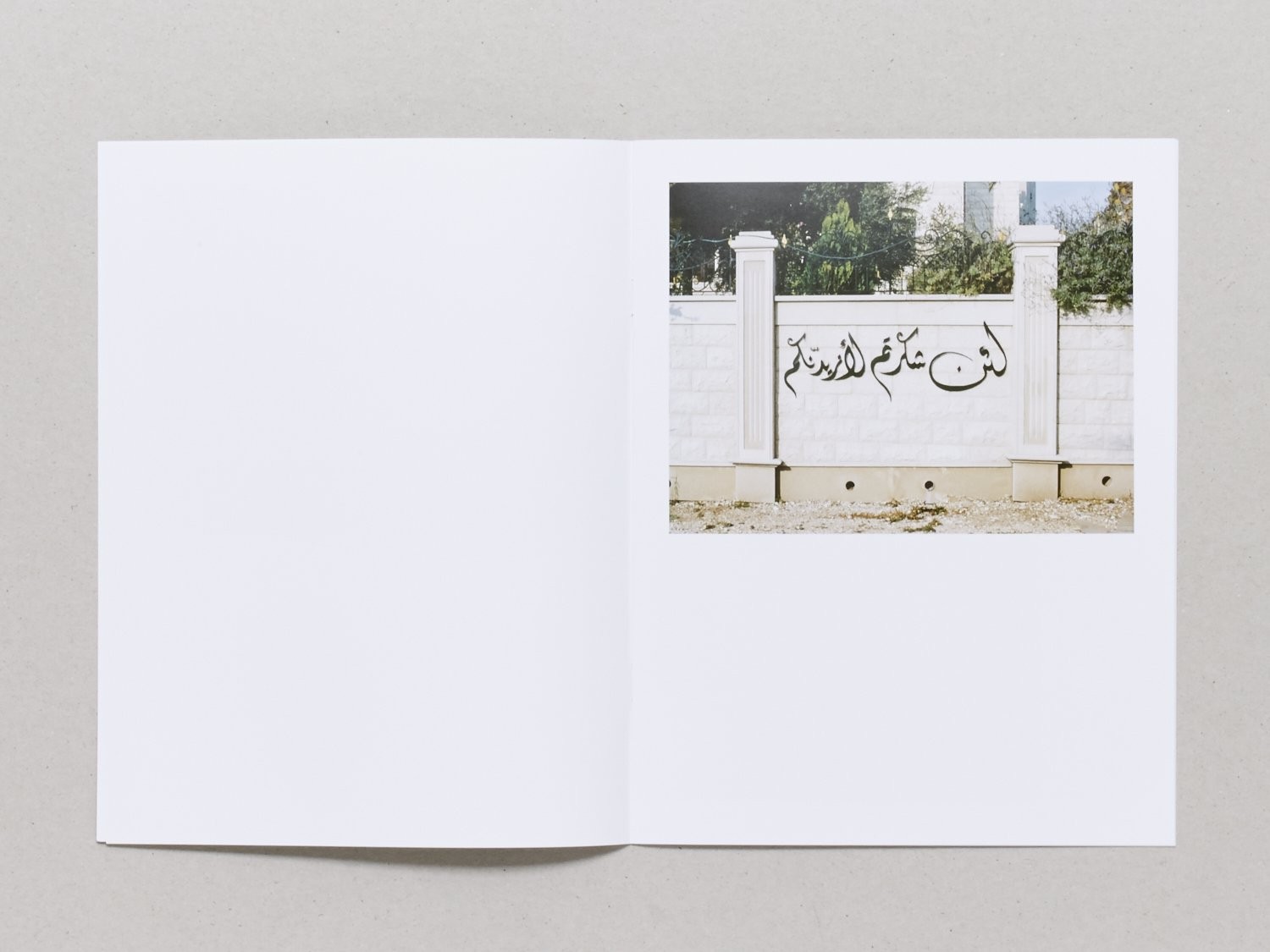 Pink Arab by Dafy Hagai