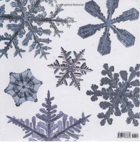 The Story of Snow: The Science of Winter's Wonder by Mark Cassino