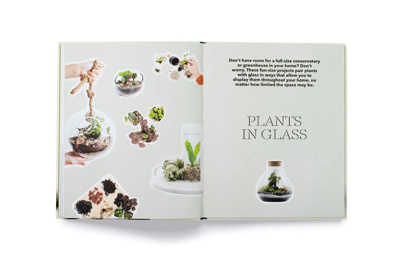 How to Plant a Room: and Grow a Happy Home by Morgan Doane & Erin Harding