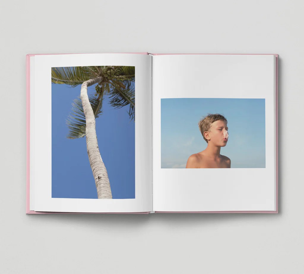 Bubblegum by Emily Stein