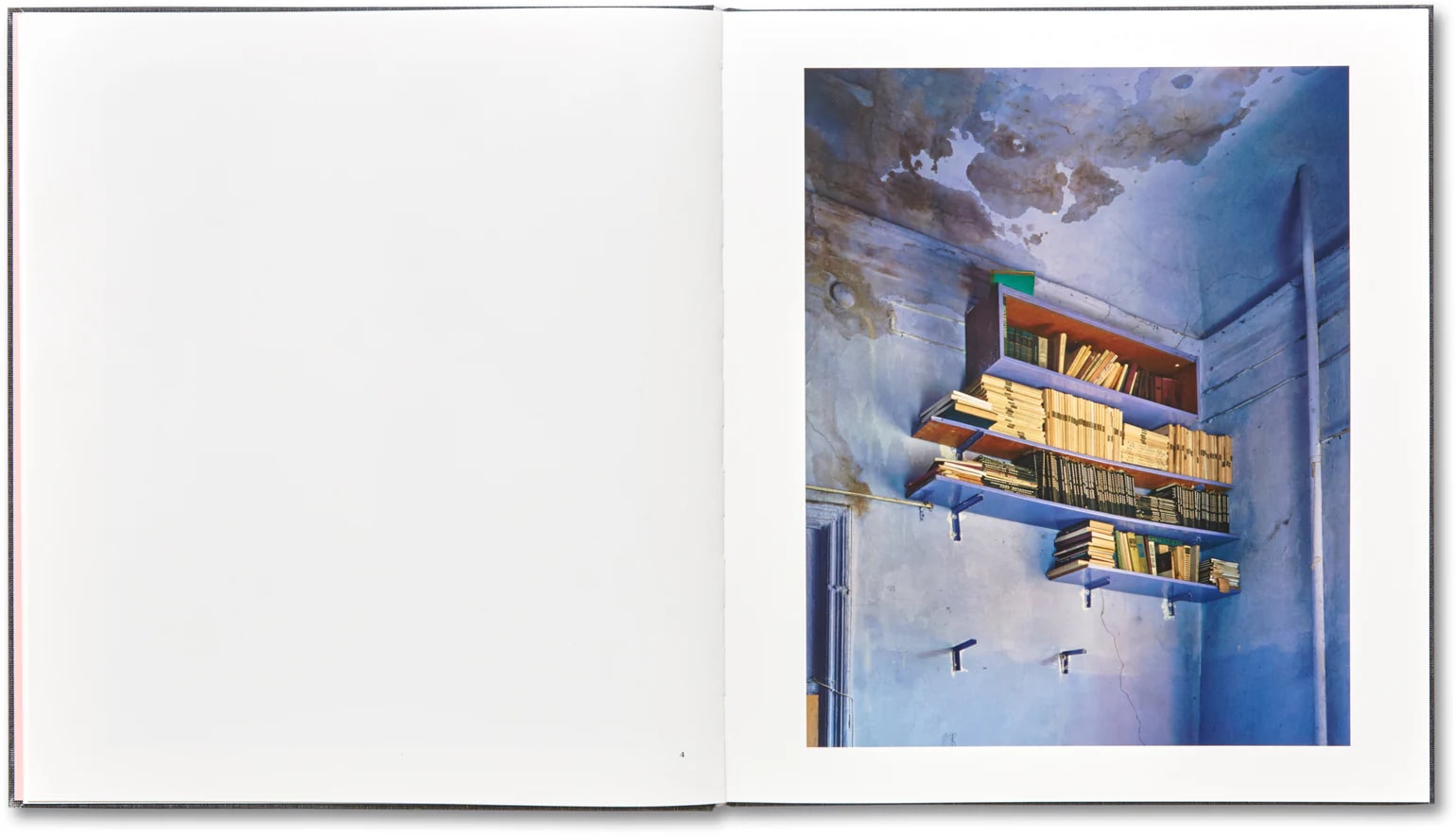 I Know How Furiously Your Heart Is Beating by Alec Soth