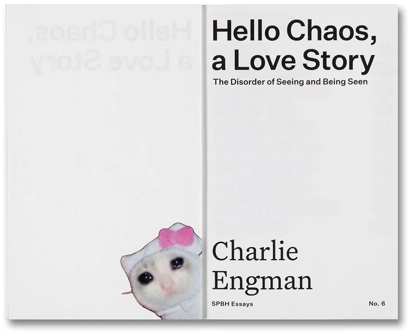 Hello Chaos, a Love Story: The Disorder of Seeing and Being Seen by Charlie Engman