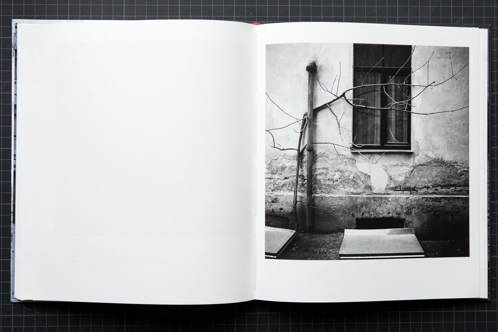 How the Other Half Lives by Nico Baumgarten