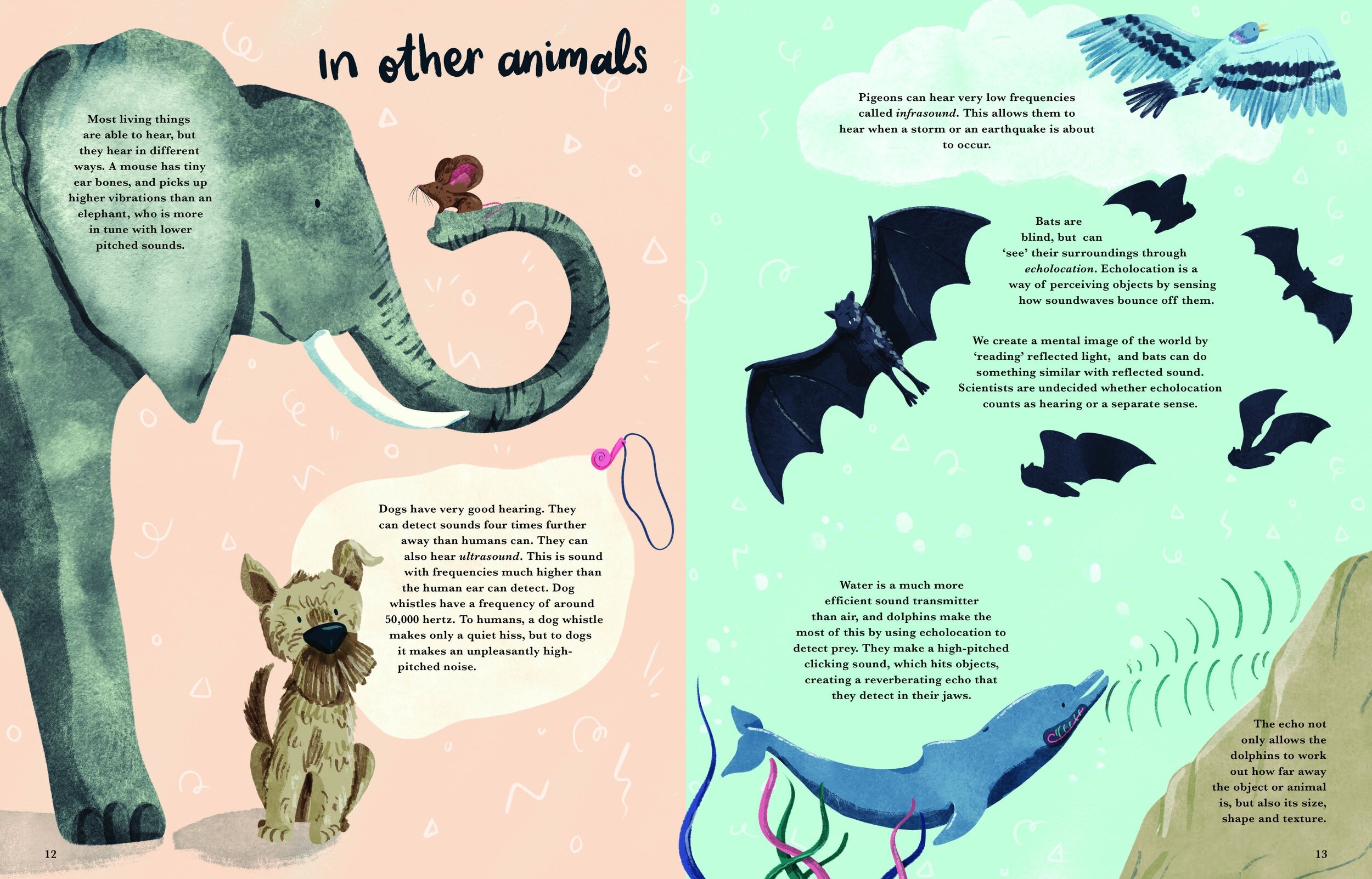 Cat Eyes and Dog Whistles by Cathy Evans