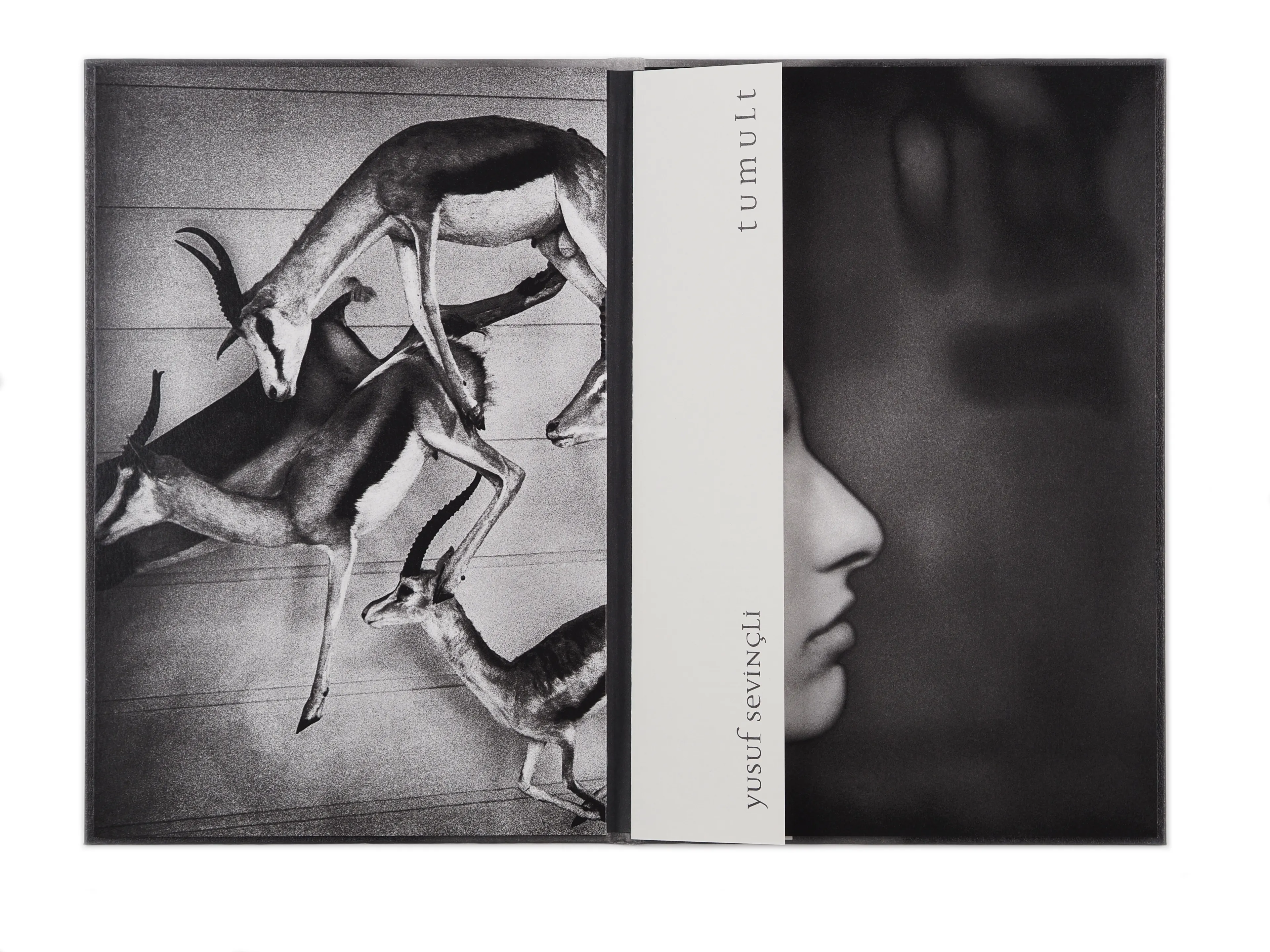 Tumult by Yusuf Sevinçli