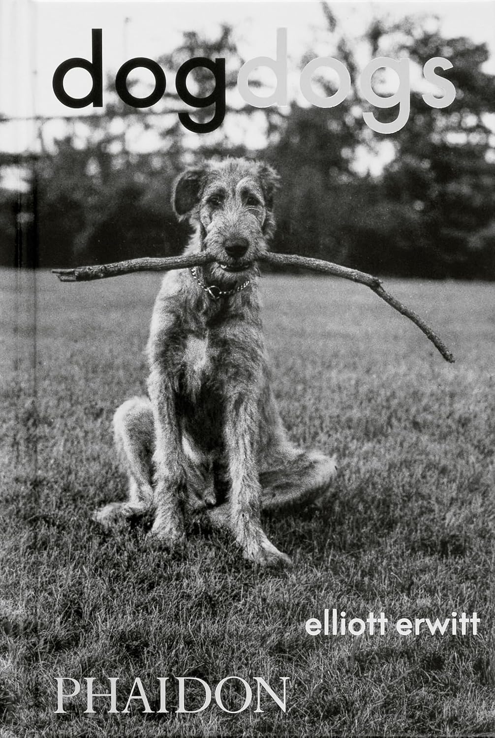 DogDogs by Elliott Erwitt