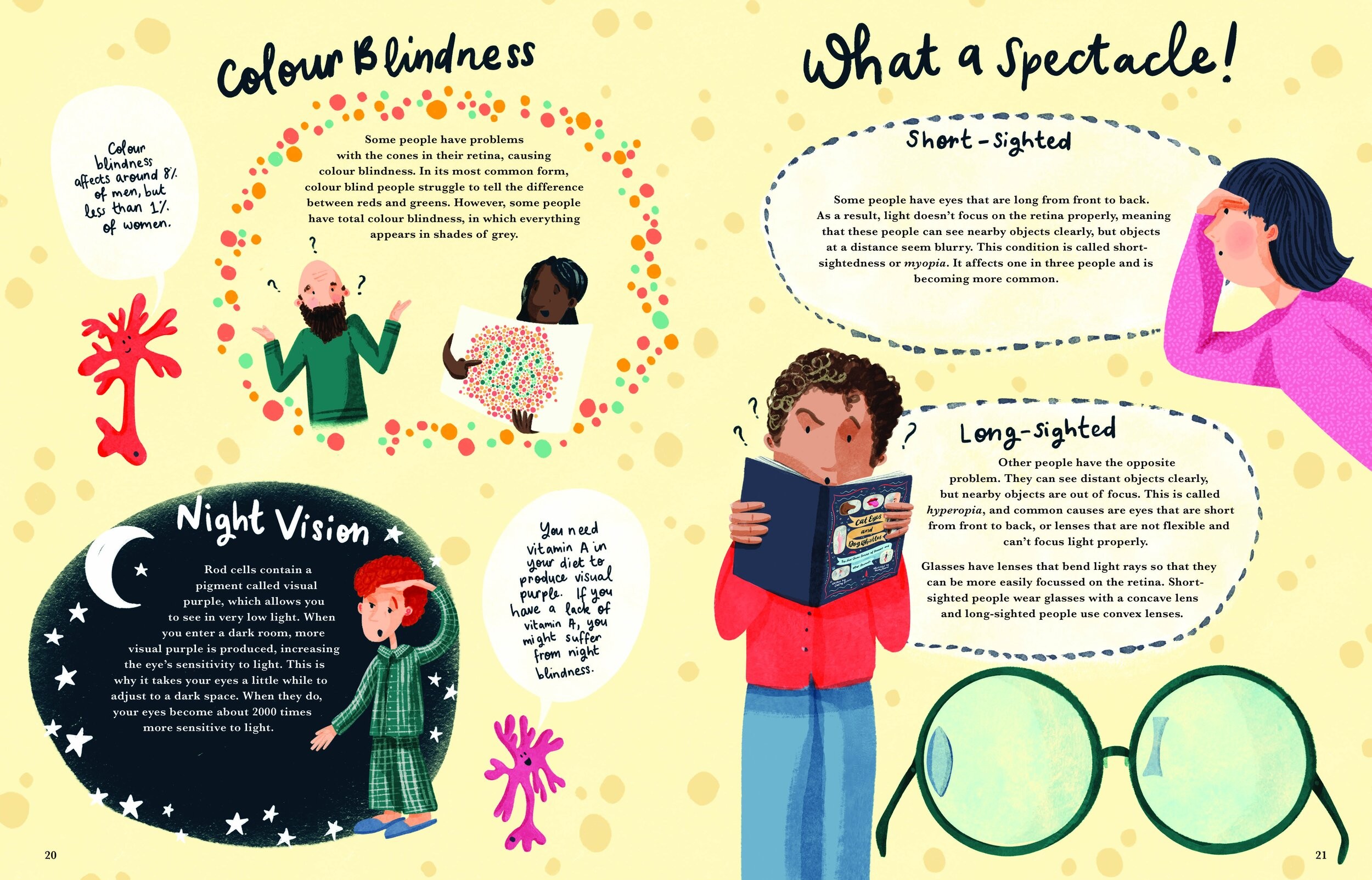 Cat Eyes and Dog Whistles by Cathy Evans