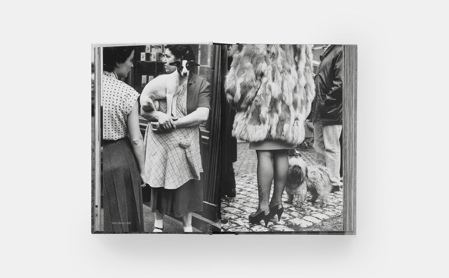 DogDogs by Elliott Erwitt